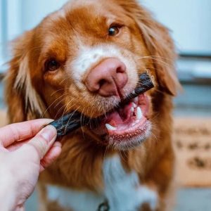 Etta Says! Crunchy Duck Dog Chews 4in Individual Stick - Buzzy Pet Shop